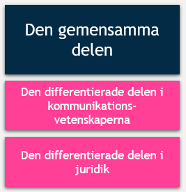 Strukturen för urvalsprovet G i visuell form: den gemensamma delen framställs med en blå låda och under den finns den differentierade delen i kommunikationsvetenskap samt den differentierade delen i juridik som framställs med rosa lådor.