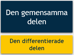 Strukturen för urvalsprovet D i visuell form: den gemensamma delen framställs med en blå låda och under den framställs den differentierade delen med en gul låda.